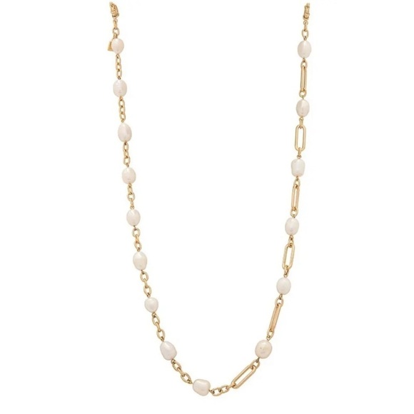 DANNIJO Accessories - Dannijo Sunny Sunglass And Mask Chain In Metallic Gold New